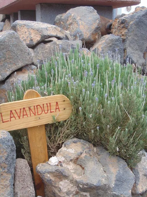 Landhuis Casa Rural Soleario La Oliva Spanje
